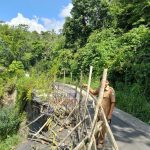 Kondisi Jalan Yang Amblas Sudah 7 Bulan dan Belum Mendapat Penanggulangan dari Dinas PUPR Provinsi Bengkulu (Doc.sm 2024)