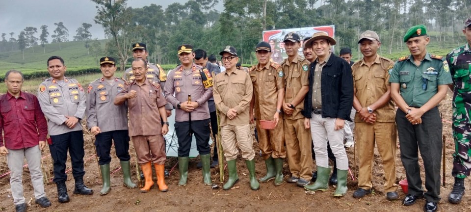 Penanaman Jagung Dilahan Demplot Desa Air Sempiang