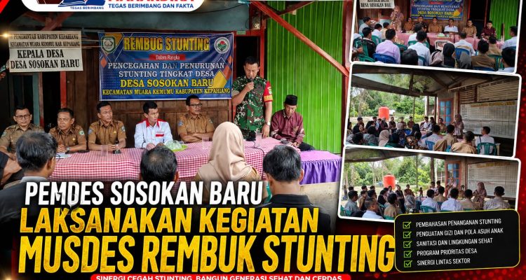 Mudes Di Desa Sosokan Baru